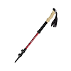Competitor Cane